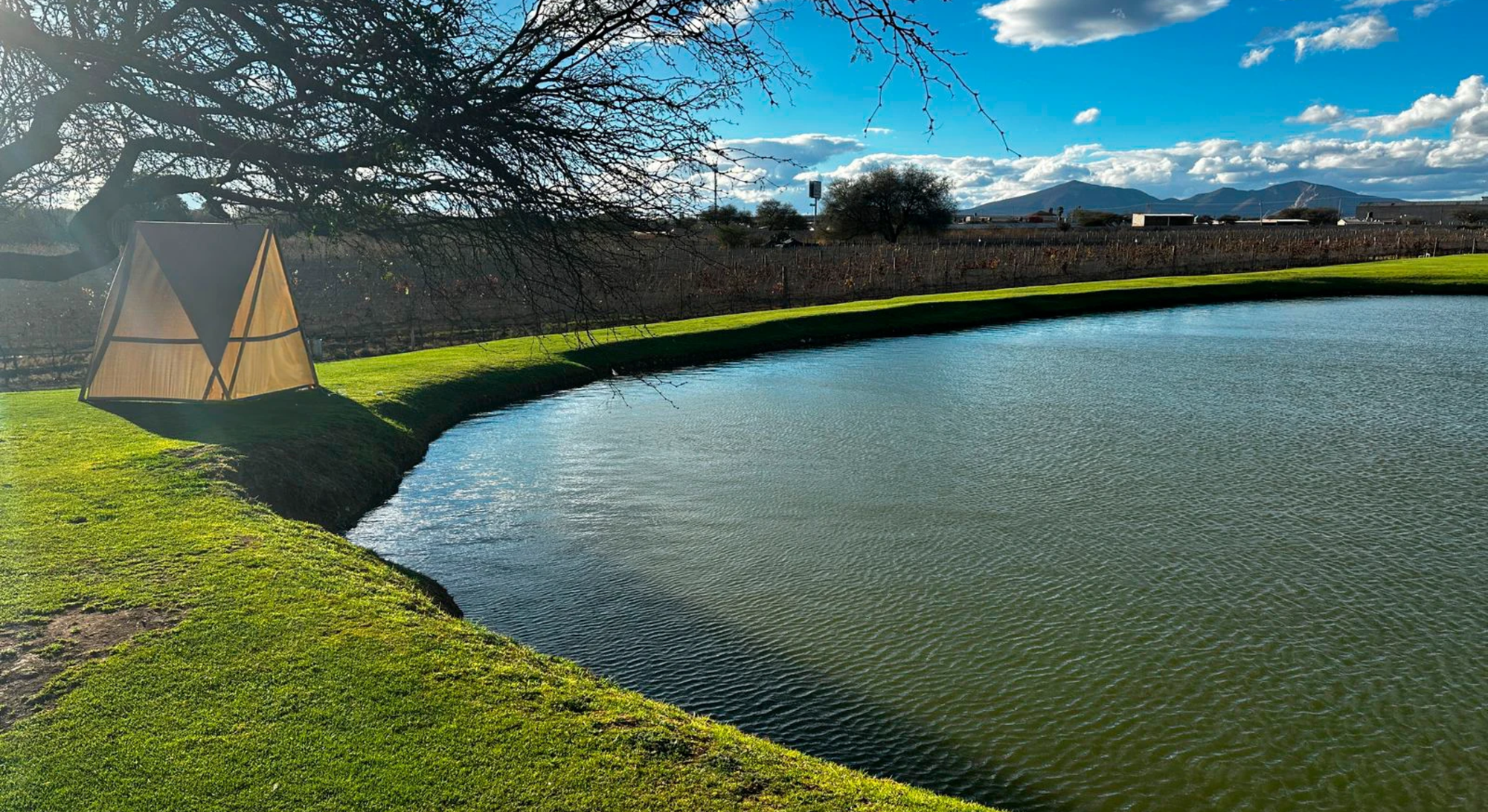 lago en un viñedo en Querétaro.