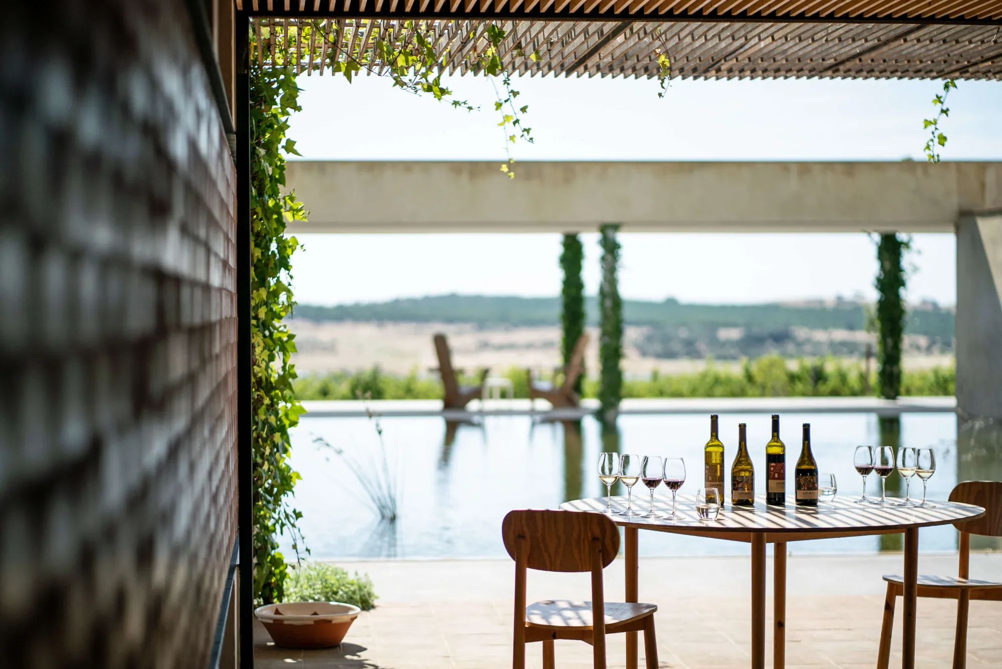 alentejo wine vineyard