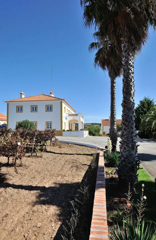 alentejo wine in Portugal