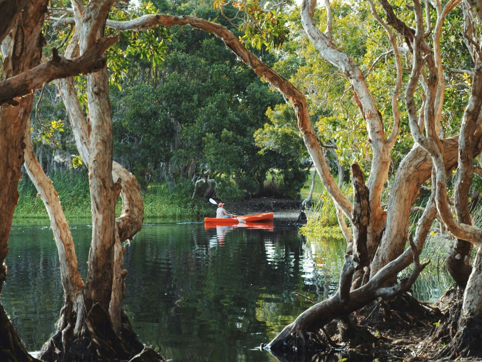 someone doing kayaking at lake in australia