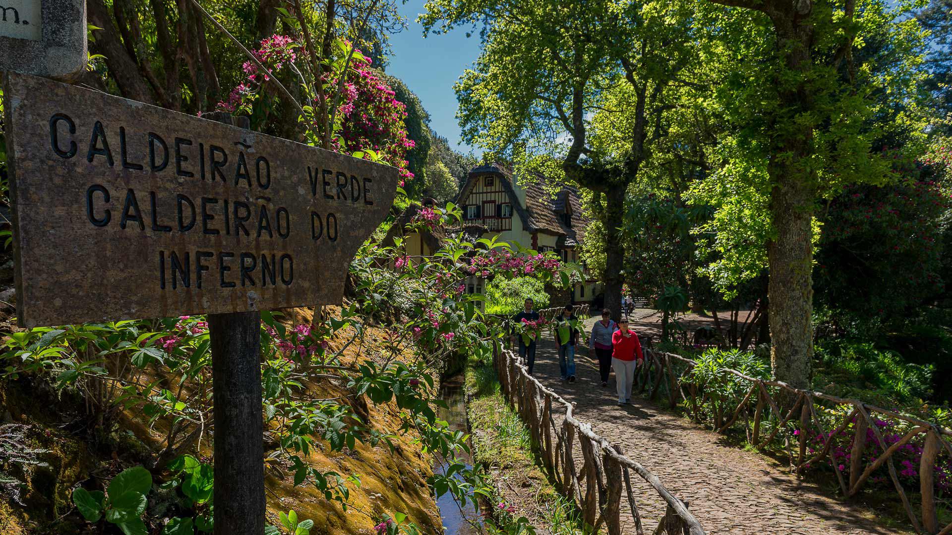 hiking in madeira portugal travel guide