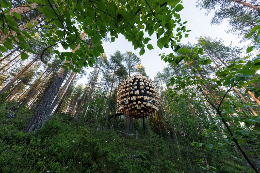 off-grid cabin in a digital detox retreat in Sweeden