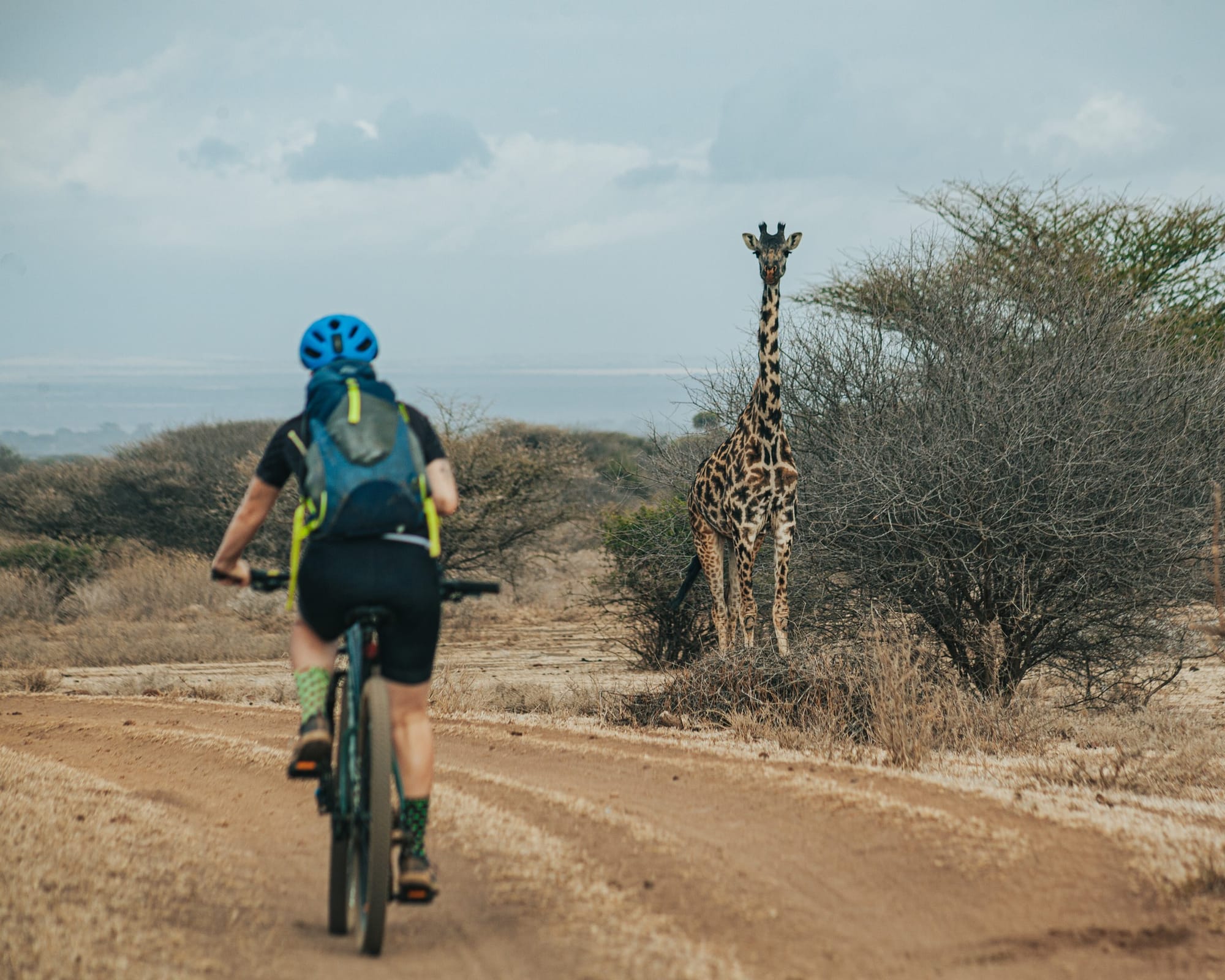 voluntariado internacional.