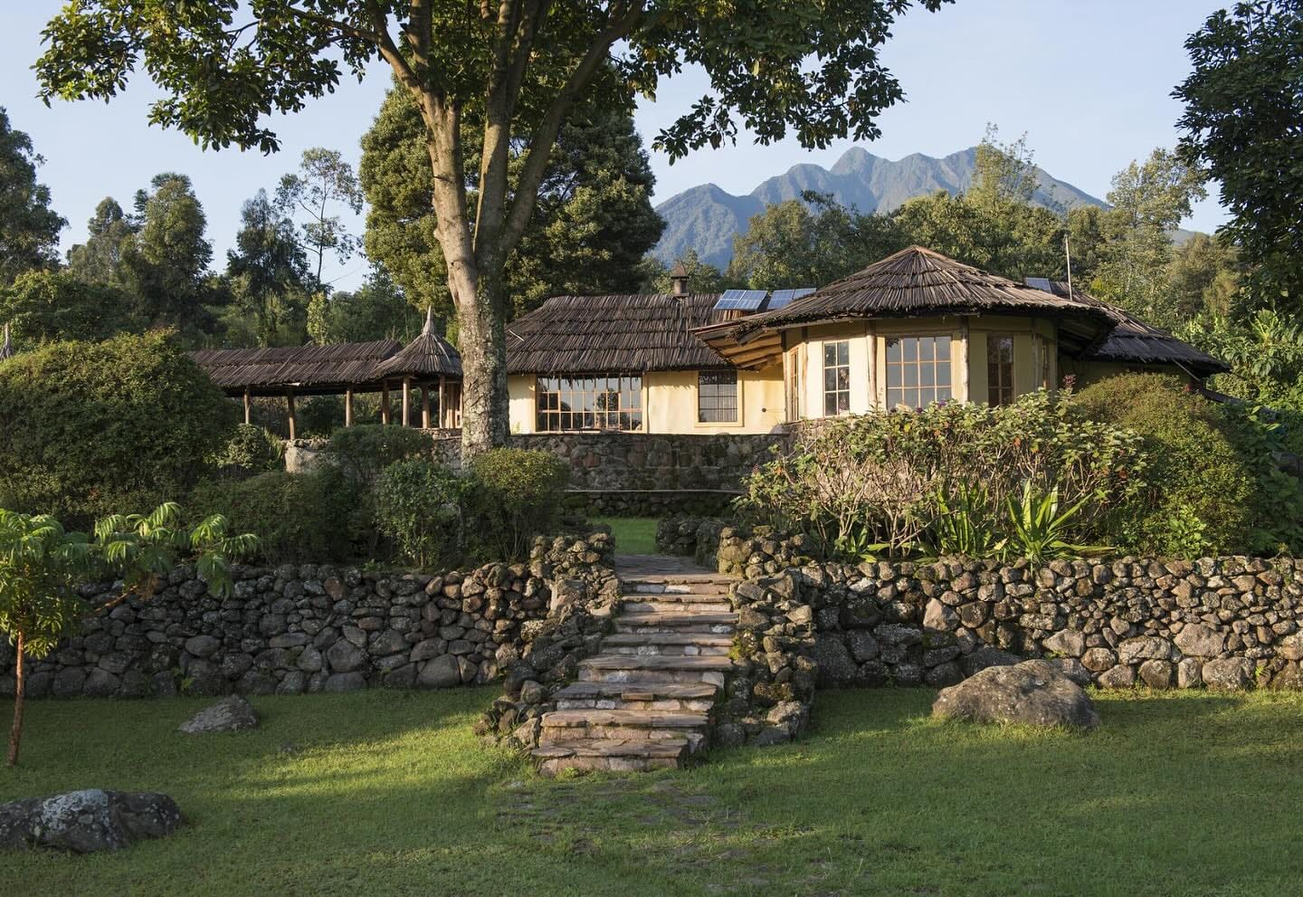 A Journey into the Heart of Uganda's Ancient Rainforest: Bwindi Impenetrable Forest