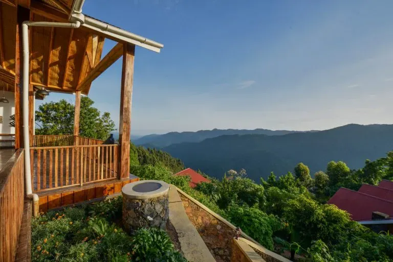 A Journey into the Heart of Uganda's Ancient Rainforest: Bwindi Impenetrable Forest