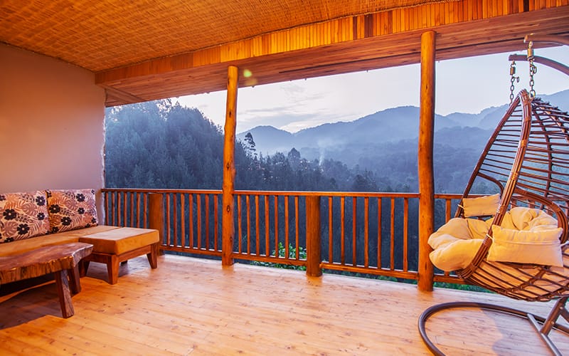 A Journey into the Heart of Uganda's Ancient Rainforest: Bwindi Impenetrable Forest