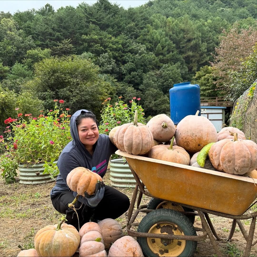 voluntariado internacional en una granja orgánica