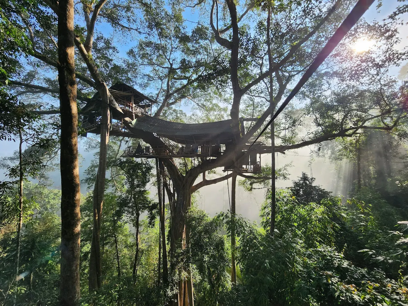 laos gibbon experience