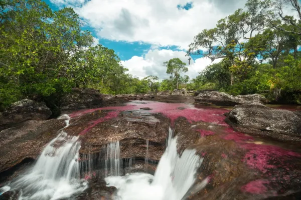 caño cristales, colombia