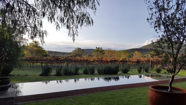 viñedo privado en la ruta del vino queretaro