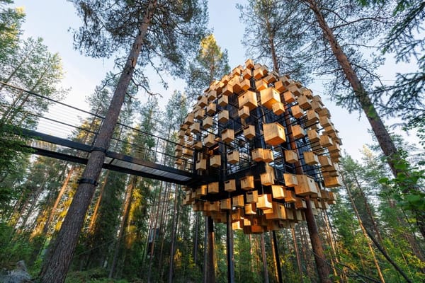 digital detox retreat